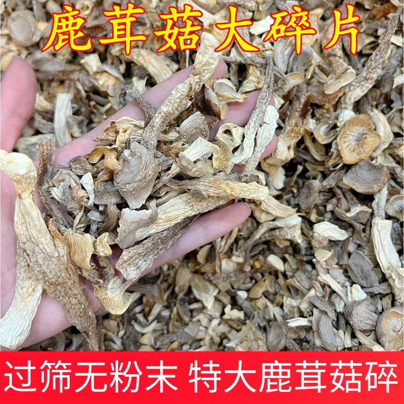 鹿茸菇大碎片干货【已筛无粉末精品好货】菌汤包煲汤炒包饺子食材