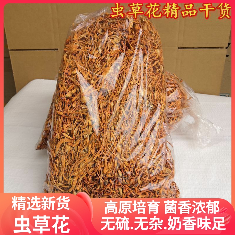 虫草花干货 两斤装虫草菇金虫草北虫草特级非新鲜 包邮正品保障