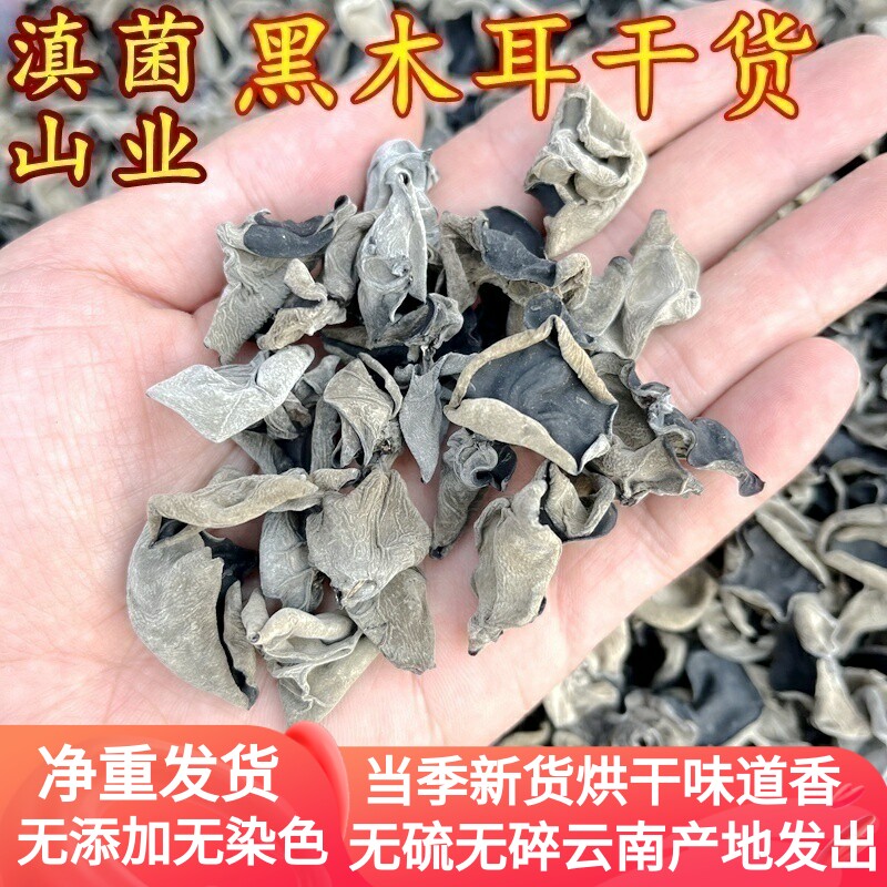 黑木耳干货 云南农家无根秋木耳80克散装非特级野生小碗耳口感脆
