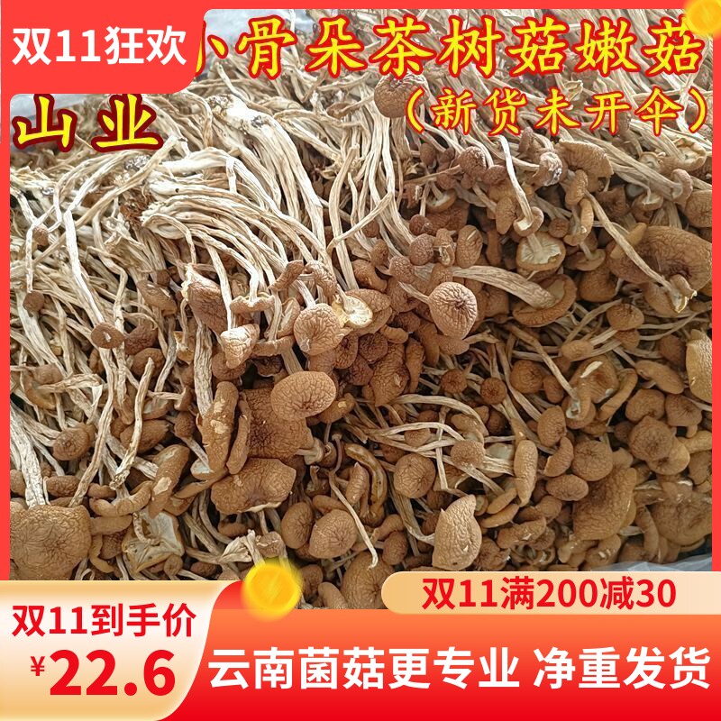 新鲜农家茶树菇干货不开伞骨朵茶薪菇250g非特级香菇蘑42.6元500g怎么看?