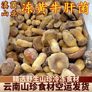 冰鲜冻野生黄牛肝菌 云南山珍土特产野生菌一斤酒店香菇食材洗干
