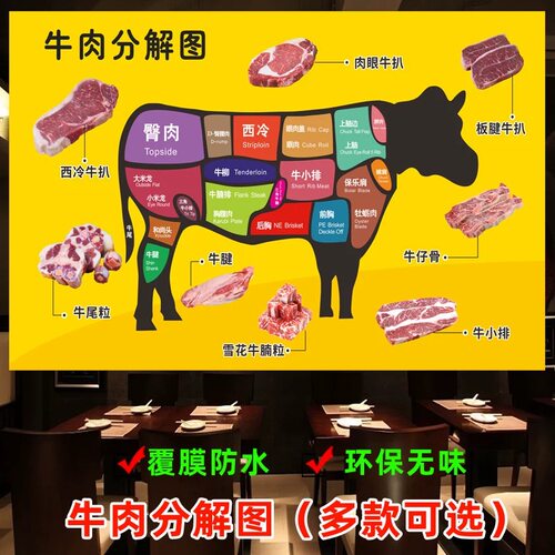 牛肉分解图羊肉猪肉分布图示意图