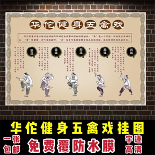 华佗健身五禽戏挂图中医养生海报文化宣传展板养生图片挂画养生馆