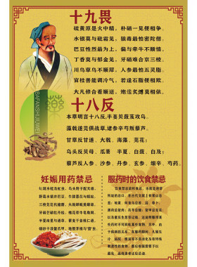 十八反十九畏海报中医文化宣传画