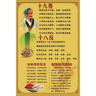 中医文化挂图 十八反十九畏海报中药配伍禁忌宣传画 医院药房挂画