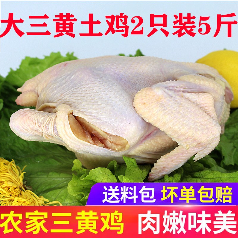 鲁西大三新鲜现杀5斤白切土鸡