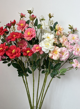 仿真冰山月季蔷薇花玫瑰绢花