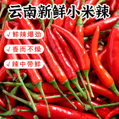 云南现摘小米椒当季新鲜红辣椒