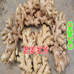 云南正宗高山小黄姜农家自种现姜挖老生姜罗平新鲜生姜老姜月子姜