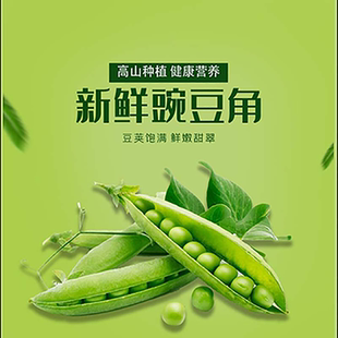 云南农家种植现新鲜摘现发豌豆包邮带壳豌豆水果豌豆青豌豆甜豆