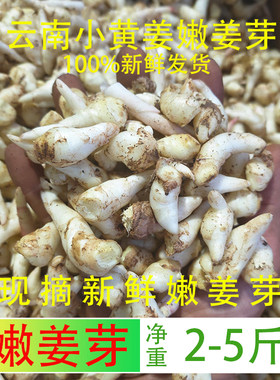 云南小黄姜嫩姜芽香脆仔姜芽