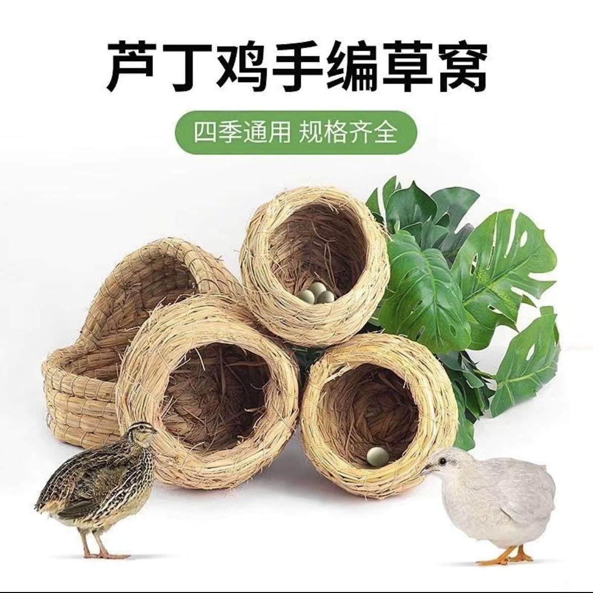 芦丁鸡手工编织草窝防风保暖防寒有型饲养箱宠物专用草窝造景用品,宠物/宠物食品及用品,鸟窝,淘宝优惠券,粉丝福利购,淘宝优惠卷