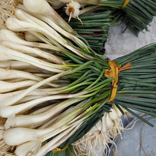 四川特产教头鹅土蕌新鲜蔬菜藠头农家自种现挖现发带叶半荞头叫头