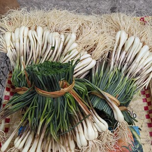 四川特产教头鹅土蕌新鲜蔬菜藠头农家自种现挖现发带叶半荞头叫头