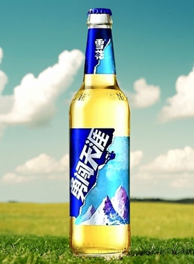 勇闯天涯啤酒500ml/12瓶装精选酒花麦芽酿制黄啤酒玻璃瓶雪花啤酒
