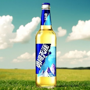 勇闯天涯啤酒500ml/12瓶装精选酒花麦芽酿制黄啤酒玻璃瓶雪花啤酒