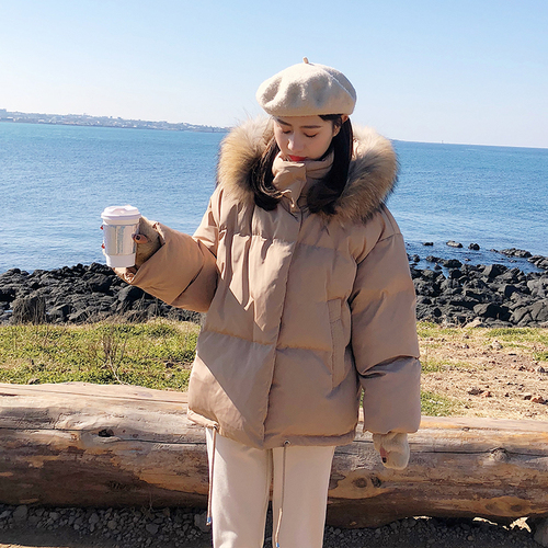 浙宝B馆115 ZB115736