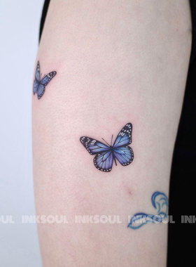 青花蝶梦 | 5张 落肩蝴蝶唯美蓝色浪漫3D立体锁骨手臂不反光可洗