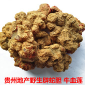 朱砂莲七月生九月生野生中药材一点血牛血莲躲蛇生避蛇生半斤 包邮