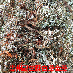 贵州野生翻白草番百草整颗带根新货中药材500g另售地骨皮[拍3送1]