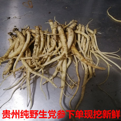 贵州新鲜野生党参浮萍参 香浮参 蔓人参 土人参 奶参南人参500g