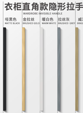 极简现代衣柜隐藏大拉手