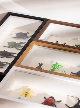 立体中空标本相框干花diy展示框昆虫植物贝壳画框奖牌徽章收纳盒