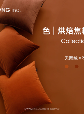 LIVING inc.焦糖色 天鹅绒抱枕复古客厅沙发靠垫办公室腰靠枕床上