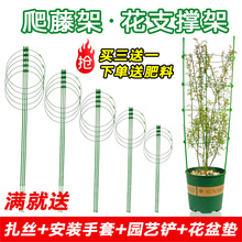 室内花架爬藤架子嫁接蟹爪兰月季花1
