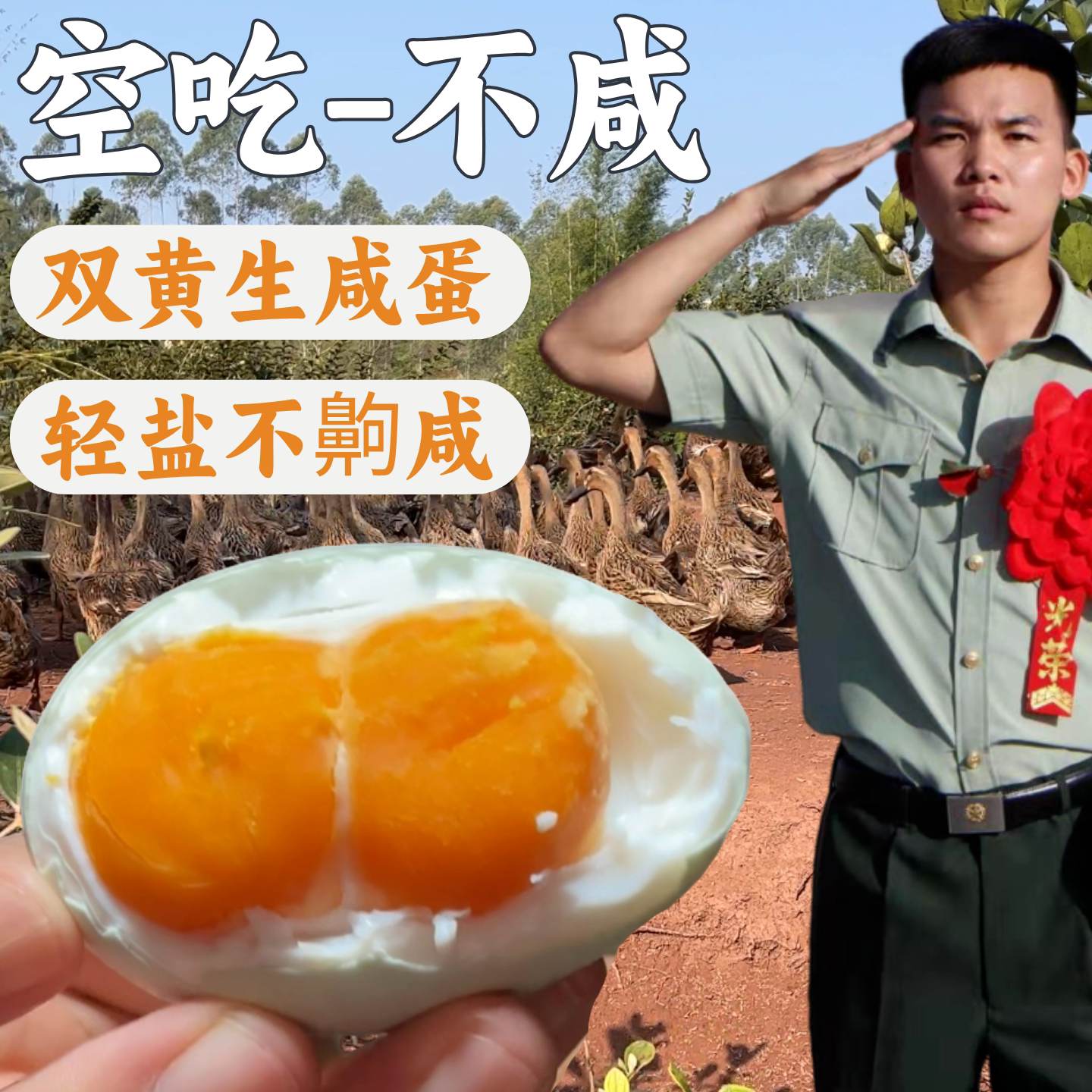 不太咸新鲜双黄生咸鸭蛋整颗带壳图片