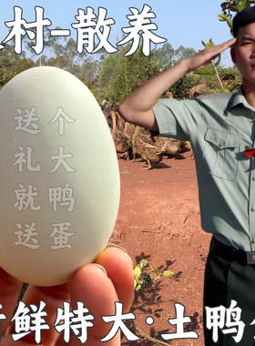 【兵哥鸭蛋】75克新鲜特大土鸭蛋农家散养土麻鸭蛋整箱顺丰发货