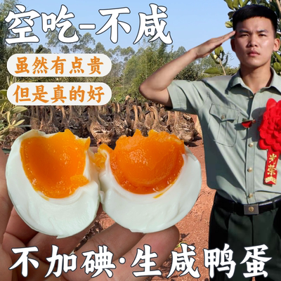 不咸的咸鸭蛋手工双黄生咸鸭蛋