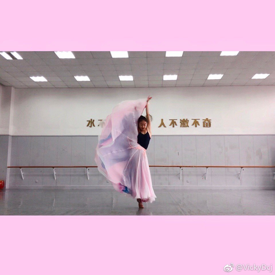 抖音同款舞蹈服大摆裙古典舞飘逸仙中国风双层雪纺半身裙现代成人