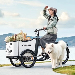 电助力三轮车Ebike电助力cargo bike遛狗宠物脚踏车载人接送学生