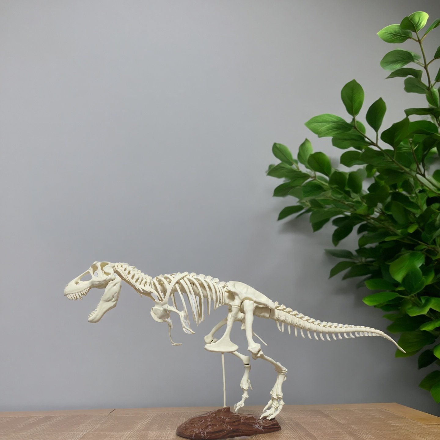 60cm大型拼装恐龙骨架模型化石玩具霸王龙大号鱼缸骨骼仿真摆件