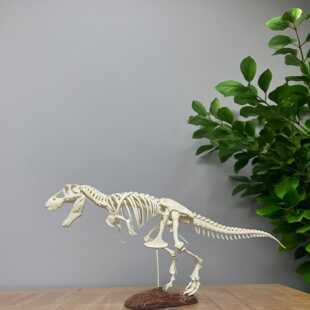 60cm大型拼装恐龙骨架模型化石玩具霸王龙大号鱼缸骨骼仿真摆件