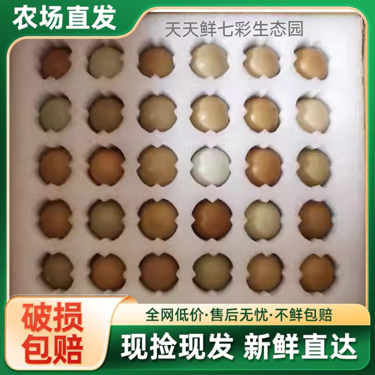 【顺丰京东包邮】正宗七彩山鸡蛋鸡蛋