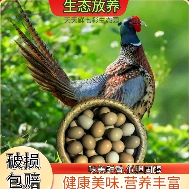 七彩山鸡蛋新鲜正宗 初生蛋 农家散养宝宝辅食孕妇柴笨土鸡蛋60枚