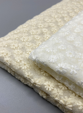 15233新品婚纱面料网纱拍摄背景刺绣蕾丝布料服装裙子diy花边材料