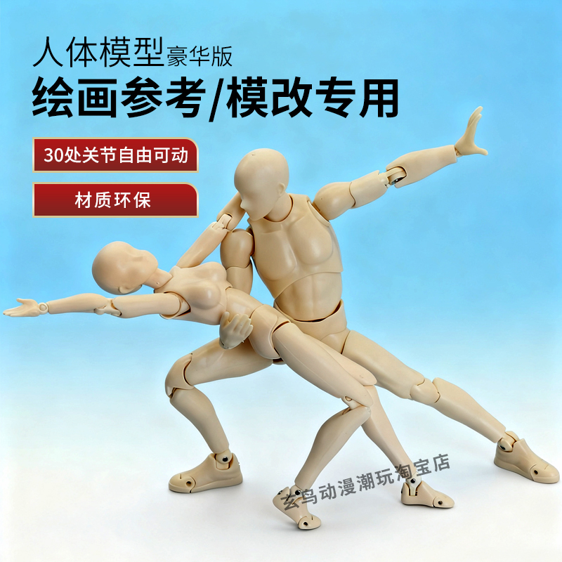 全新升级豪华版人体模型