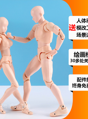 shf全身关节可动素体男女动漫人漫画人体模型手办美术绘画人偶