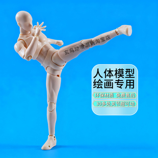 绘画参考模型 关节升级shf可动素体人体模型手办美术绘画人偶手办