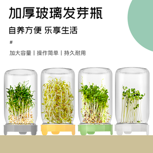 【梅森生活家】发芽菜瓶豆芽苗菜罐子豆芽发芽种植花生豆芽家用PP