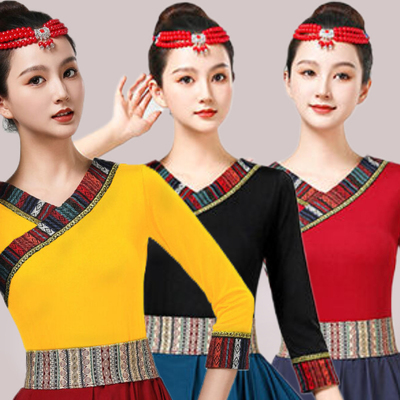 藏族舞蹈演出服装女艺考练功服蒙古舞广场舞大摆裙民族舞蹈服上衣