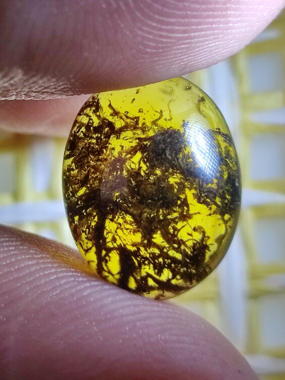 植物丝戒面名琥堂天然缅甸琥珀化石虫珀植物珀特色珀情景珀