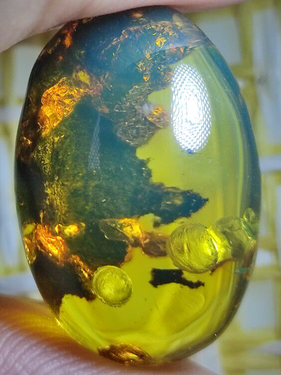 干胆植物戒面名琥堂天然缅甸琥珀化石