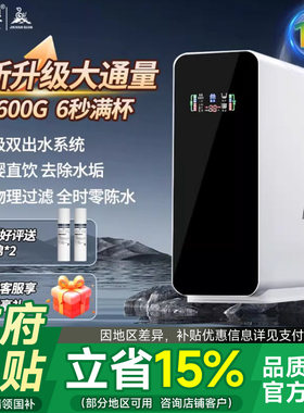 净水器家用直饮RO反渗透大流量