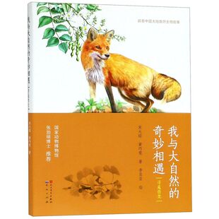 我与大自然的奇妙相遇(寻觅兽类)/探索中国大地自然生物故事