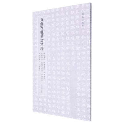 东魏西魏墓志精粹(姬静墓志明赉墓志和照墓志尧奋墓志□獦生墓志吕盛墓志刘静怜墓志杜櫕墓志)/北朝墓志精...