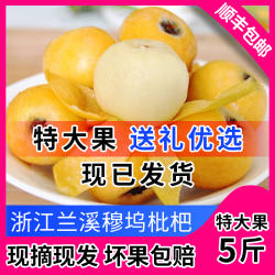 穆坞精品特大白枇杷金华兰溪琵琶白沙枇杷白玉新鲜大果顺丰礼盒